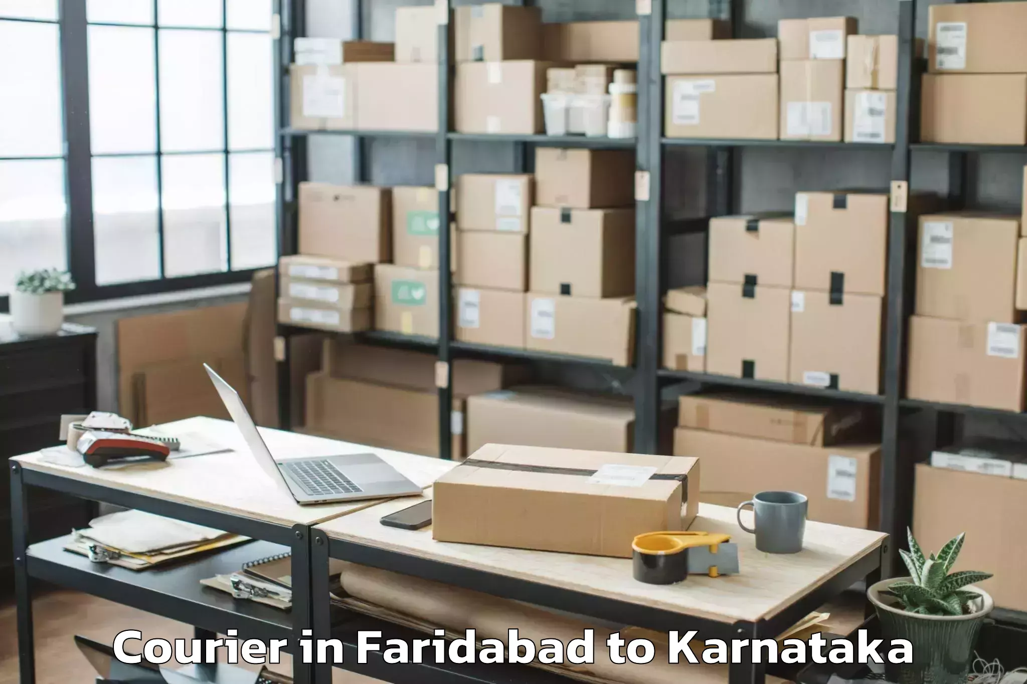 Faridabad to Mudigere Courier